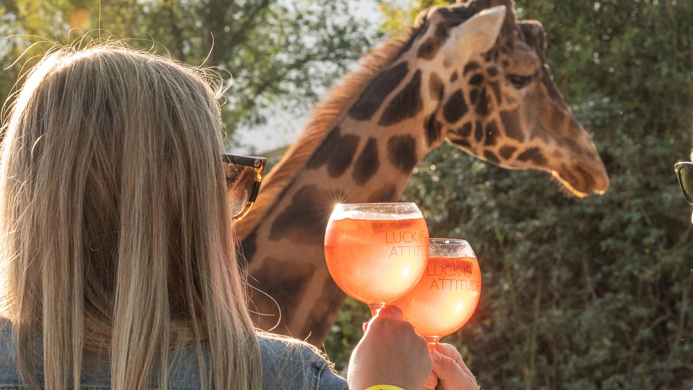 zoo safari di torino